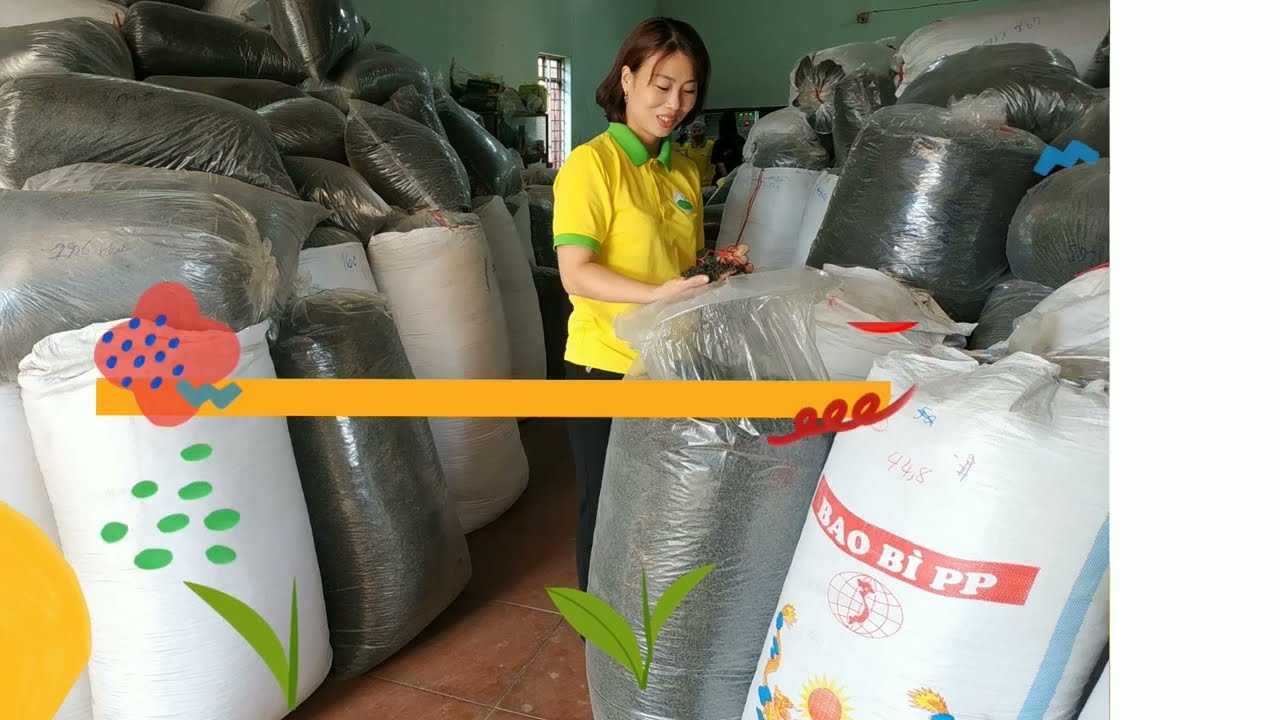 Top 7 Tác Dụng Giảm Cân Của Chè Tân Cương Thái Nguyên Được Khoa Học Chứng Minh
