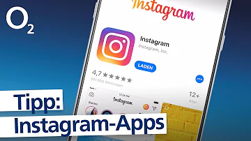Was sind die beliebtesten Themen auf Instagram?