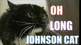 Talking Cat Saying Oh Long Johnson 