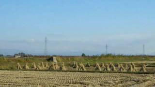20091024五能線キハ48「リゾートしらかみ4号」青池編成