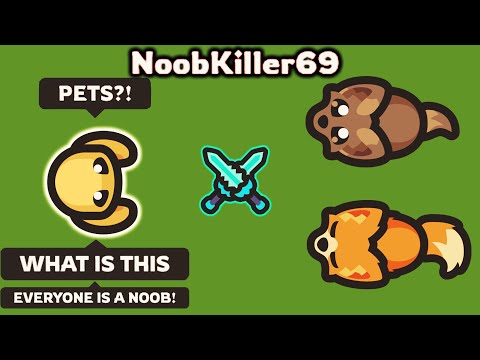 Taming.io - 40 Different Types of Taming.io Players (Ft. NoobKiller69) 