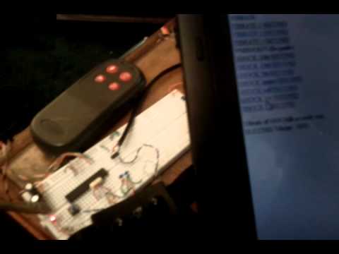 internet shock collar