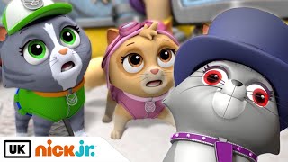 Paw Patrol Pups Save A Tour Bus Nick Jr. Uk