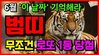 📢호랑이띠 주목! 호랑이띠 6월 운세 이 날짜 기억해라 | 50년생 62년생 74년생 | 한달운세 | 로또운세 | 띠별운세