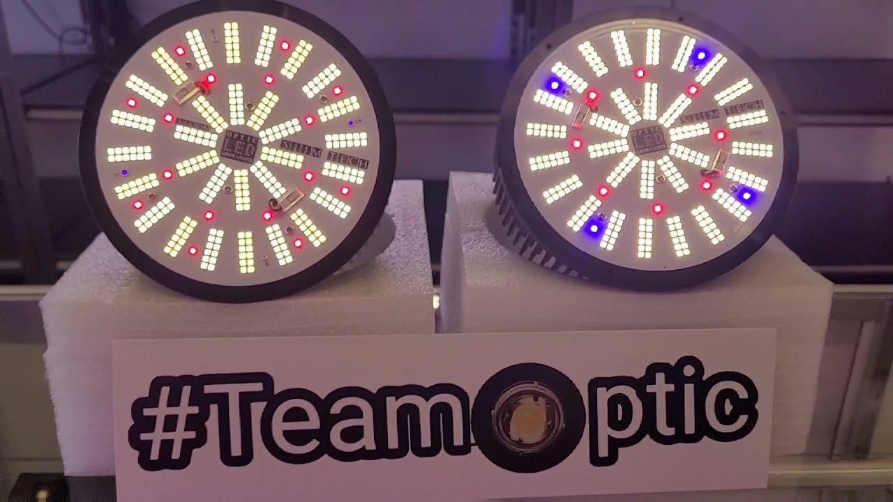 Phatslim 1XL Bloom & Phatslim 1XL Gen7 Review