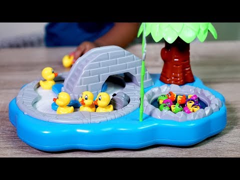 Ikan Untuk Bebek