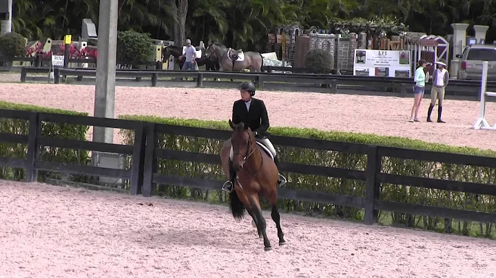 WEF 9 Gina Ashcroft 4