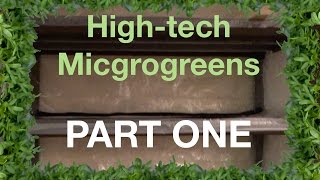 Microgreens Project Part 1: Intro + Structure Build