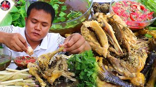 นึ่งไก่บ้านสมุนไพรน้ำจิ้มพริกสดรสเด็ดแซ่บๆ กับบรรยากาศเขียวเย็นข้างสระน้ำ