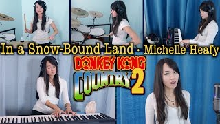 Video thumbnail of "In a Snow-Bound Land (DKC 2) Cover | Michelle Heafy"