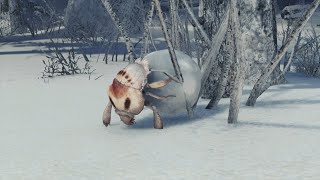 Borealis Bestiary - Rime Beetle Ecology (Nature Documentary) @GlydeBorealis