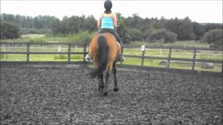 Flatwork - Trot & Canter. Sarah riding Alex