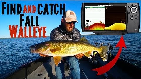 Fall Walleye Locations