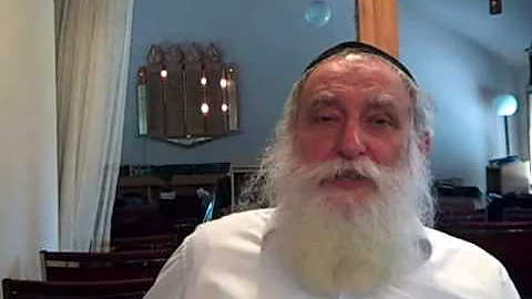 the Shabbos goy