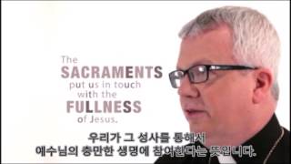 1 성사 20160221 청소년 1 성사 C4 Ignite Your Catholic Faith   Why Observe the Sacraments script