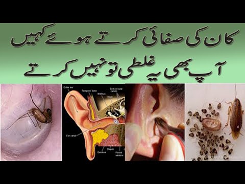 Ear Insect Solution/کان میں کیڑا چلے جانے پر کیا کریں؟؟