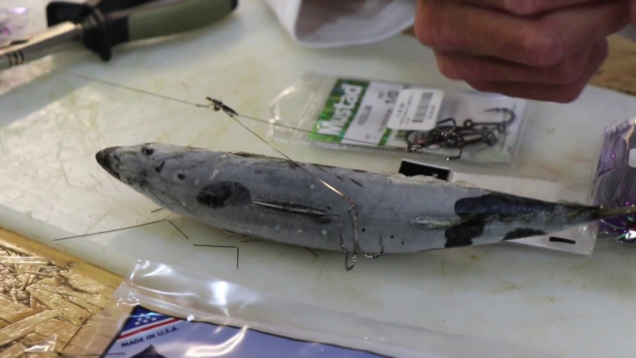 2018 BAITS & TRACES - King Mackarel or Cuta