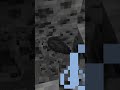 ASMR Minecraft #asmr #asmrvideo #minecraft #shorts #relaxing #asmrsounds #relax #viral #video