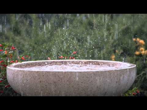 6 Hours Soothing Rain Storm + Schumann's Resonance Binaural Beat