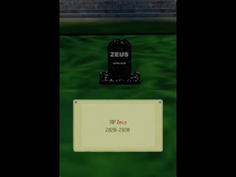 Nintendogs - Anti Piracy Screen