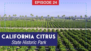 California citrus state historic park in riverside, ca beautifully
preserves one of southern california’s important historical,
cultural and agricultural con...