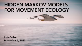 Estimating Behavioral States Using Hidden Markov Models | Lecture Wealth