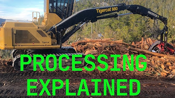 The BASICS of Processing Logs! Tigercat 880 with Waratah 624C.