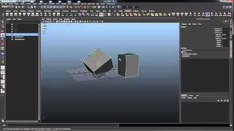 info   global and local coordinate system