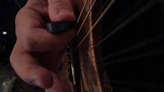 Celebrity 12-string guitar using a Plectone (slow motion study) Net Worth