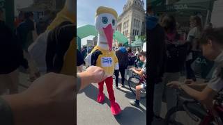 Pacsi Tour De Hongrie