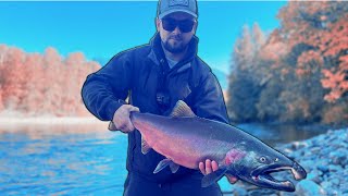Catching River COHO Salmon With My TOP 3 Techniques!!