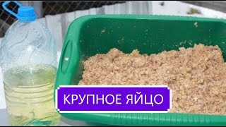 ОСТОРОЖНО! ПОДСОЛНЕЧНОЕ  МАСЛО ДЛЯ КУР.