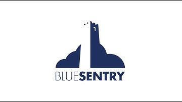 Blue Sentry - Elevating Business to the AWS Cloud