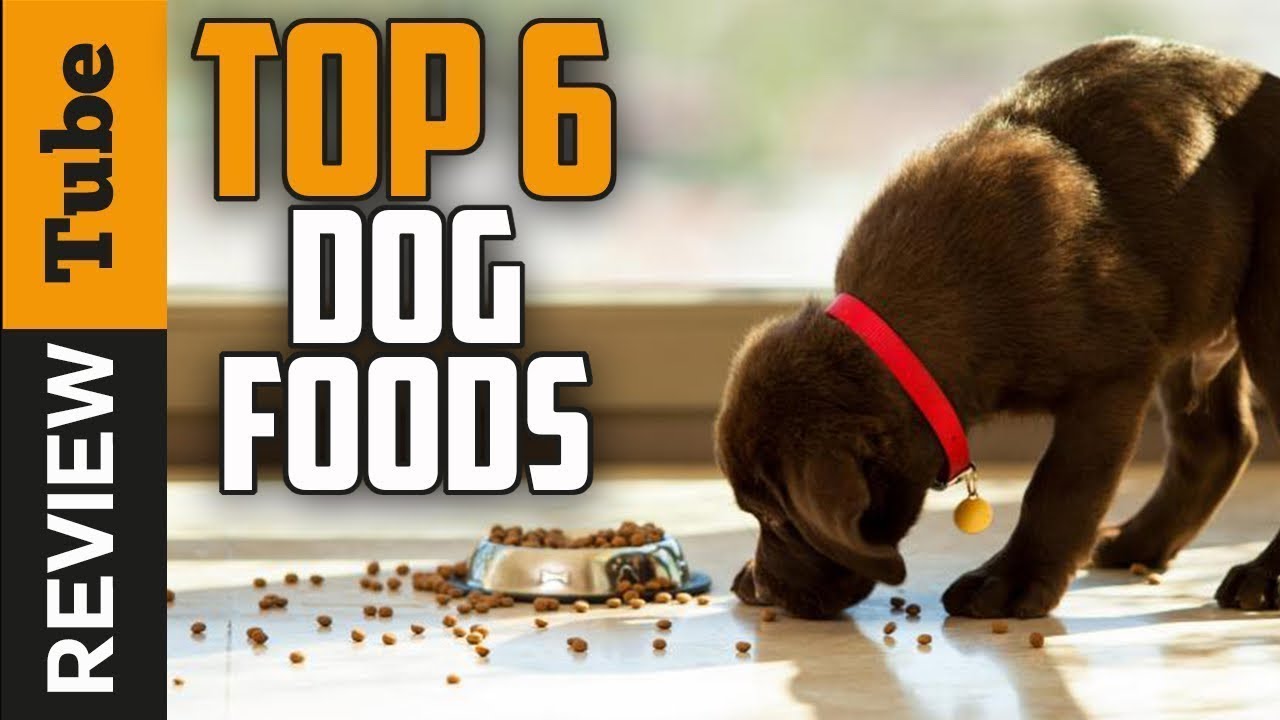 10 Best Puppy Food For Large Breeds 2019 - YouTube