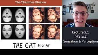 367 Lecture 5.1 Sensation versus Perception