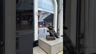 📍 (Paddington Station, Notting Hill, Leicester Square) #paddingtonstation #paddingtonbear #london