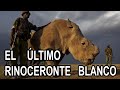 Últimos Animales de su Especie: ¿Qué es un Endling y por qué son Importantes?