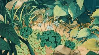 An afternoon in the garden 🎧🌱🪷⛰️ chill lofi hip hop