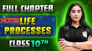 LIFE PROCESSES CLASS 10 SCIENCE BIOLOGY | Class 10th Life Processes science biology pw
