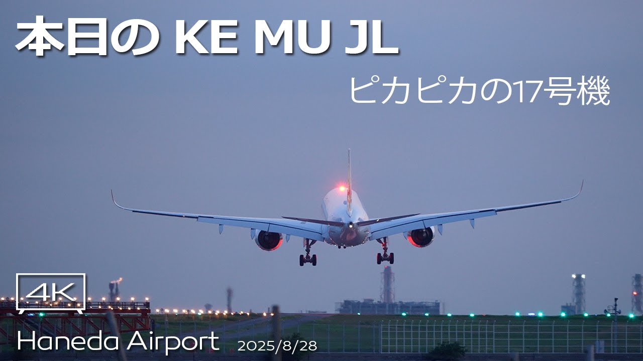 ピカピカの17号機】KOREAN Air B787-10 , China Eastern (B-6538