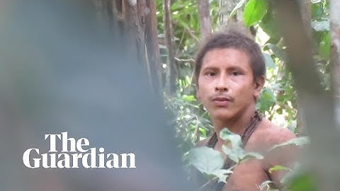 Footage of uncontacted tribesman in the Amazon rainforest