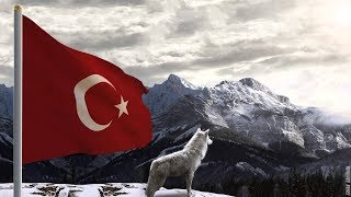 2018 New B Cvrtoon - Plevne Best Trap Turkish Music Dope Beat