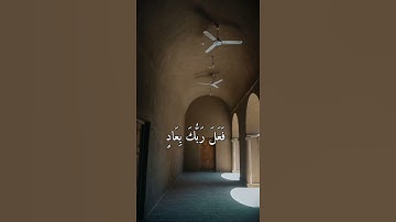 ألم تر كيف فعل ربك بعاد = سورة الفجر = #المنشاوي #quran