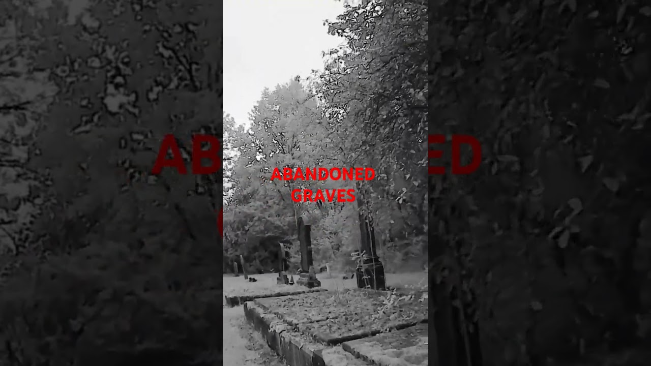 Abandoned Graves,all left behind