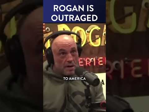 Joe Rogan Blows His Guest’s Mind w/ What Elon Musk Told Him About the Border