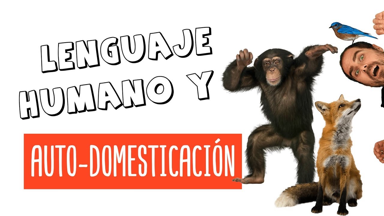 La AUTO-DOMESTICACIÓN, el LENGUAJE humano y los 🦊 - YouTube