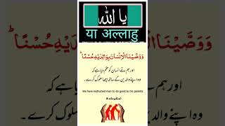 Quran Inspirational Quotes