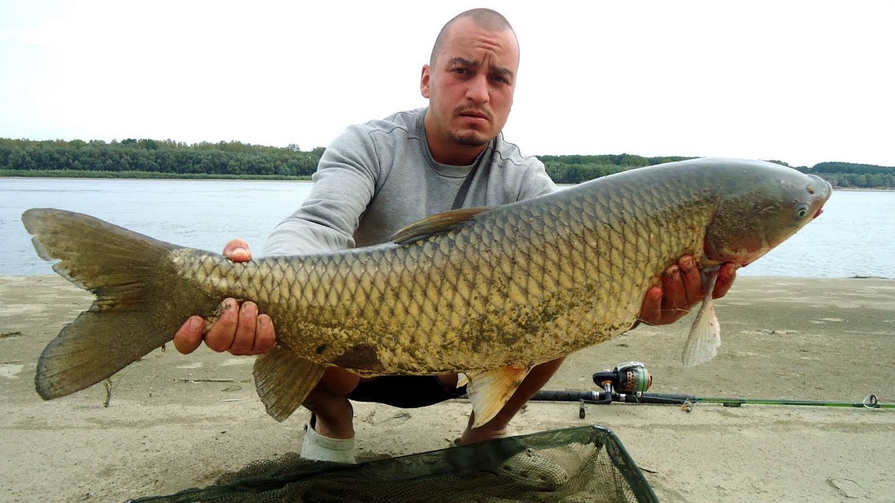 Риболов-Bushcraft на Амур река Дунав HD