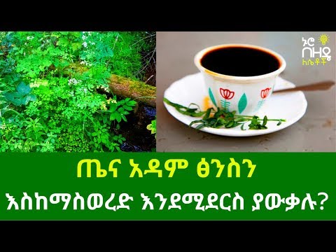 ቪዲዮ: በቤት ውስጥ አረቄን እንዴት ማዘጋጀት እንደሚቻል