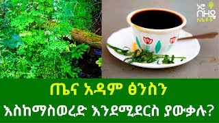 Ethiopia:- ጤና አዳም ፅንስን እስከማስወረድ እንደሚደርስ ያውቃሉ? | Nuro Bezede Girls